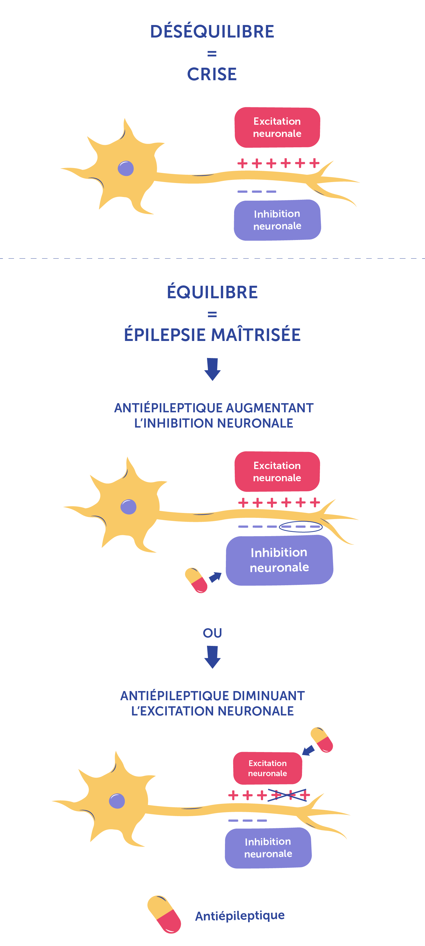 schéma mécanisme d'action d'un antiépileptique : inhibition neuronale / excitation neuronale