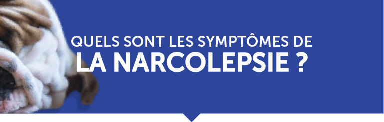 Quels sont les symptômes de la narcolepsie ?