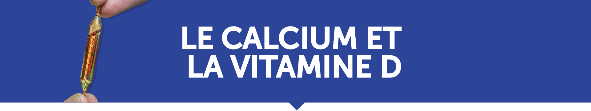 banniere calcium et vitamine D